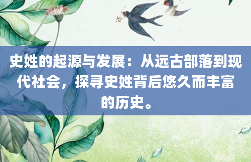 史姓的起源与发展：从远古部落到现代社会，探寻史姓背后悠久而丰富的历史。