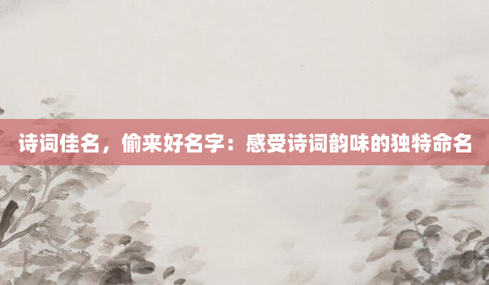 诗词佳名，偷来好名字：感受诗词韵味的独特命名