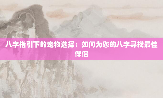 八字指引下的宠物选择：如何为您的八字寻找最佳伴侣