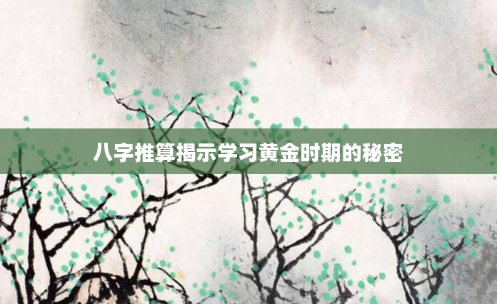 八字推算揭示学习黄金时期的秘密