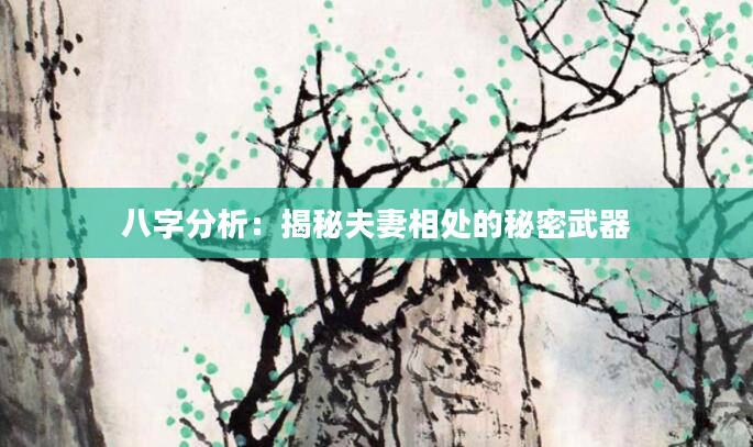 八字分析：揭秘夫妻相处的秘密武器
