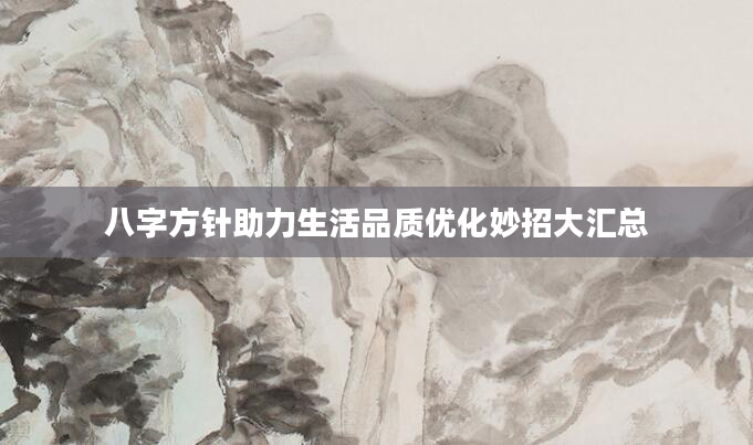 八字方针助力生活品质优化妙招大汇总