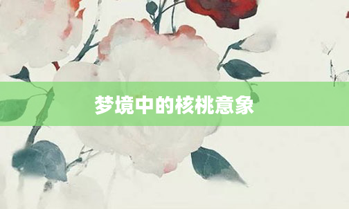 梦境中的核桃意象