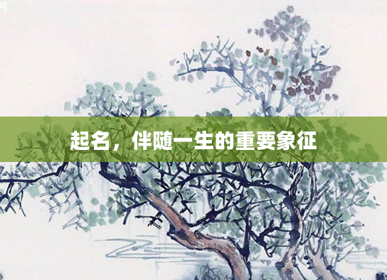 起名，伴随一生的重要象征