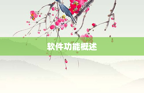 软件功能概述