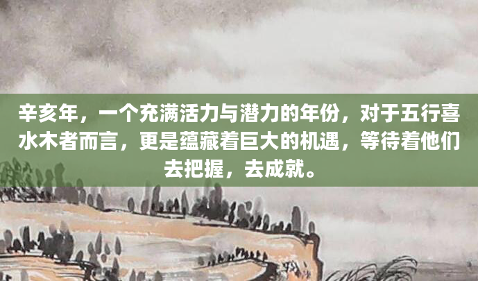 辛亥年，一个充满活力与潜力的年份，对于五行喜水木者而言，更是蕴藏着巨大的机遇，等待着他们去把握，去成就。